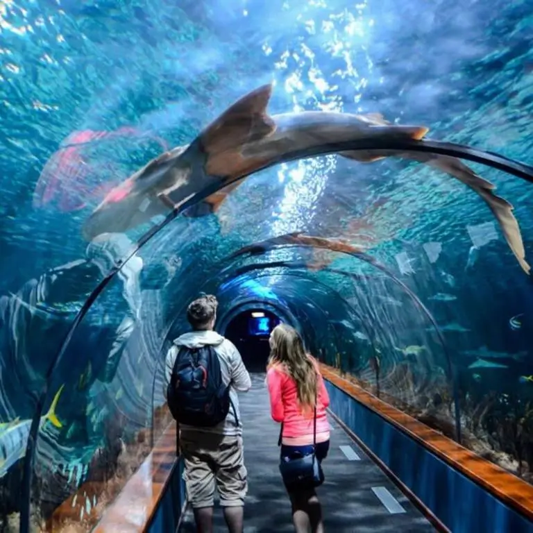 ACQUARIO DI CATTOLICA